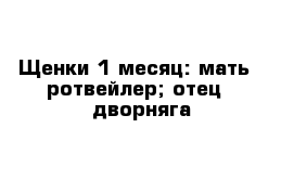 Щенки 1 месяц: мать - ротвейлер; отец - дворняга